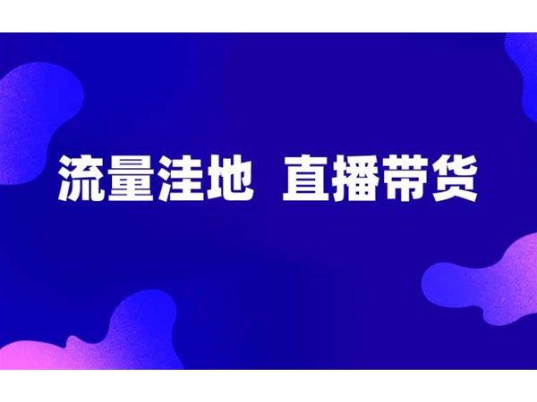 正播網(wǎng)紅直播帶貨，新的流量洼地！