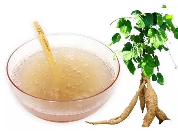 野生山葛根粉營(yíng)養(yǎng)與作用